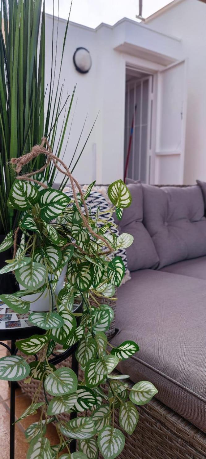 Apartamento Casa De Alba Cabo Cervera La Mata トレビエハ エクステリア 写真